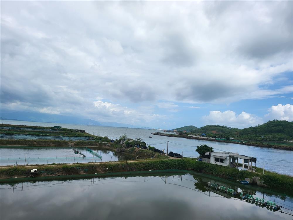 Mặt Tiền Đường STX, Thị Xã Ninh Hòa, Tỉnh Khánh Hòa